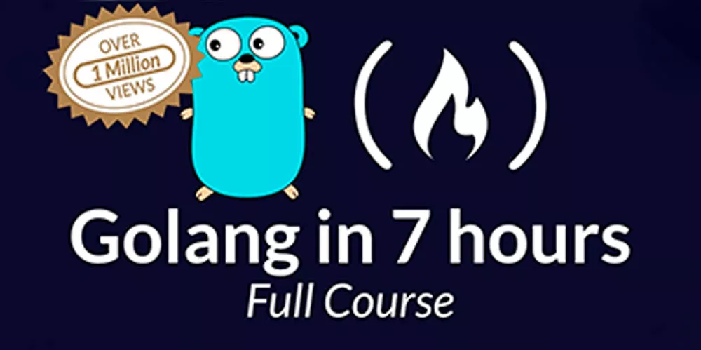 freeCodeCamp — Learn Go Programming